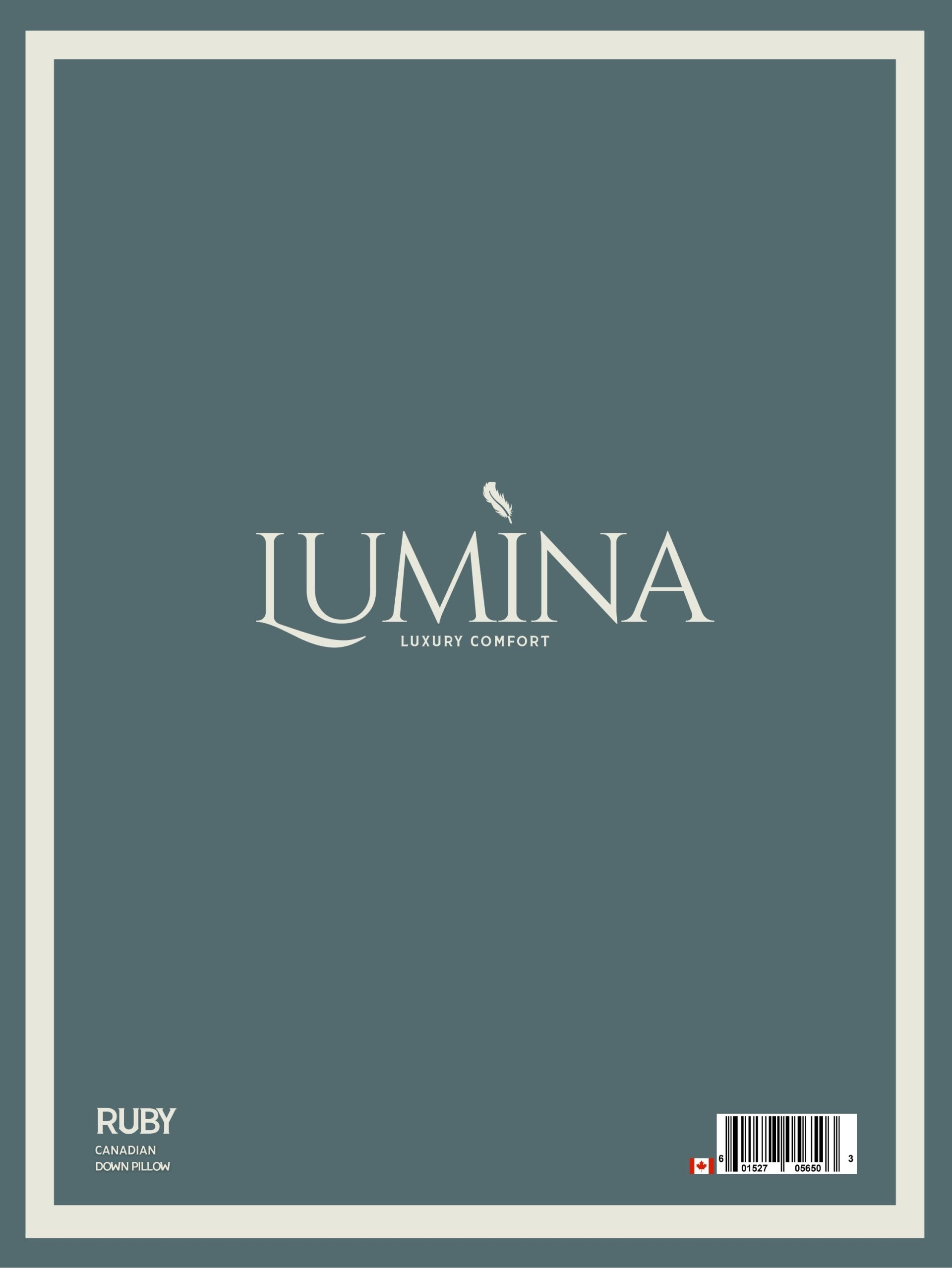 RUBY WHITE DOWN PILLOW - STANDARD SIZE