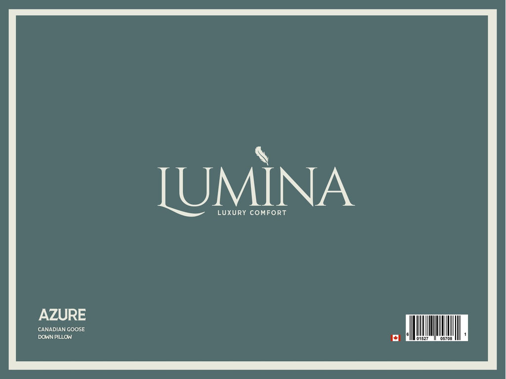 AZURE WHITE GOOSE DOWN PILLOW – STANDARD SIZE